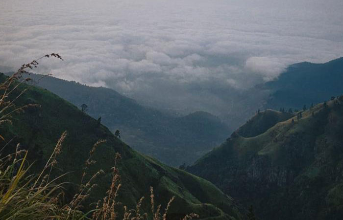 Pekoe Trail Trekking Tour with stage 12 and Bambarakanda Waterfall