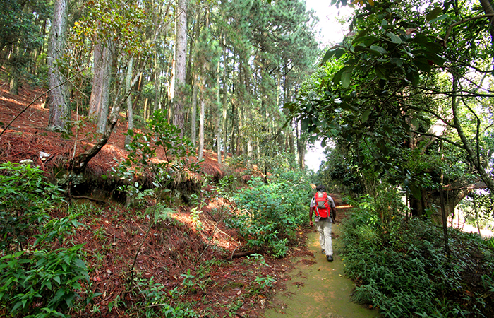 Pekoe Trail Trekking Tour with stage 12 and Bambarakanda Waterfall