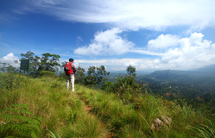 Pekoe Trail Trekking Tour with stage 12 and Bambarakanda Waterfall