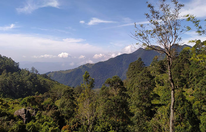 Pekoe Trail Trekking Tour with stage 12 and Bambarakanda Waterfall