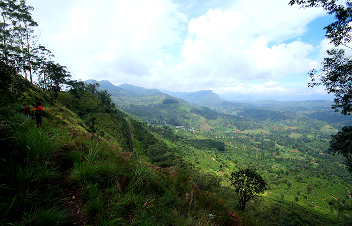 Pekoe Trail Trekking Tour with stage 12 and Bambarakanda Waterfall