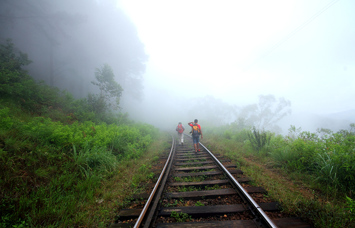 Pekoe Trail Trekking Tour with stage 12 and Bambarakanda Waterfall