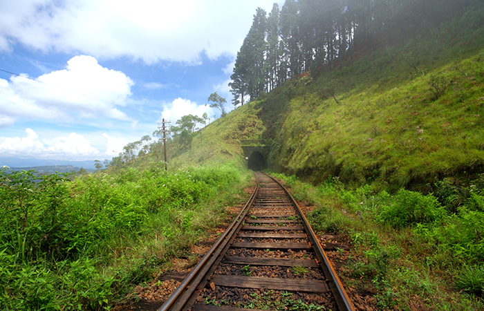 Pekoe Trail Trekking Tour with stage 12 and Bambarakanda Waterfall