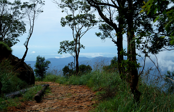 Pekoe Trail Trekking Tour with stage 12 and Bambarakanda Waterfall