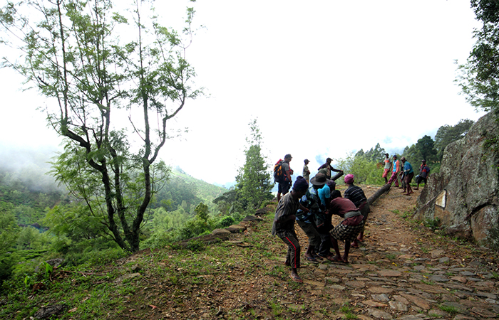 Pekoe Trail Trekking Tour with stage 12 and Bambarakanda Waterfall