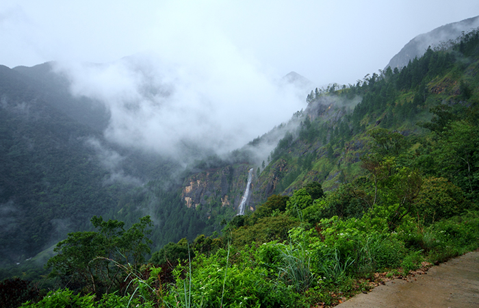 Pekoe Trail Trekking Tour with stage 12 and Bambarakanda Waterfall