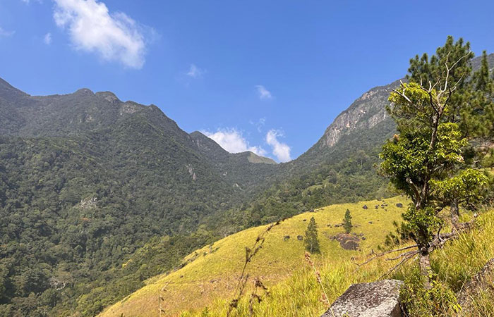 Pekoe Trail Trekking Tour with stage 12 and Bambarakanda Waterfall