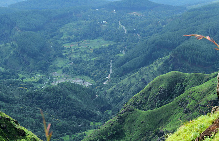 Pekoe Trail Trekking Tour with stage 12 and Bambarakanda Waterfall