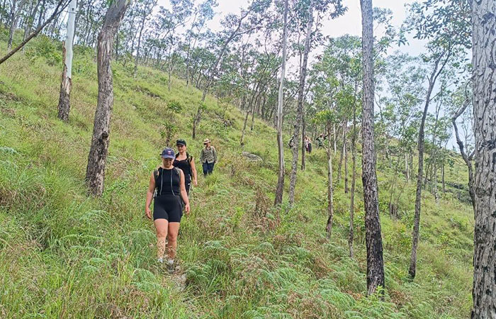 Pekoe Trail Trekking Tour with stage 12 and Bambarakanda Waterfall