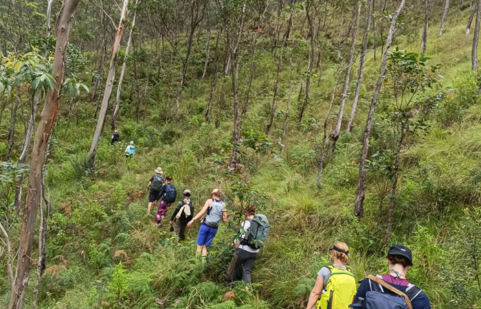 Pekoe Trail Trekking Tour with stage 12 and Bambarakanda Waterfall