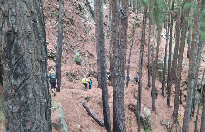 Pekoe Trail Trekking Tour with stage 12 and Bambarakanda Waterfall