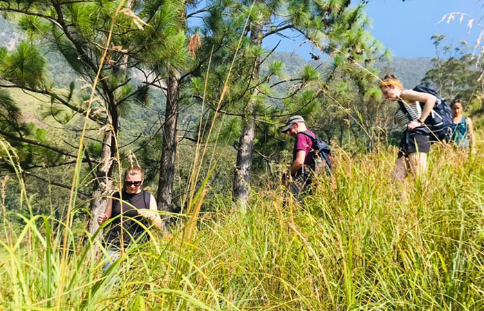Pekoe Trail Trekking Tour with stage 12 and Bambarakanda Waterfall