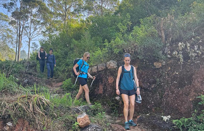 Pekoe Trail Trekking Tour with stage 12 and Bambarakanda Waterfall