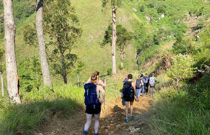 Pekoe Trail Trekking Tour with stage 12 and Bambarakanda Waterfall