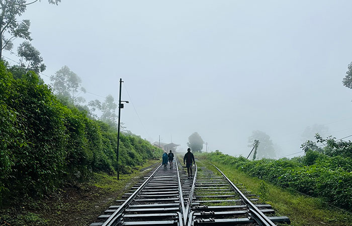 Pekoe Trail Trekking Tour with stage 12 and Bambarakanda Waterfall