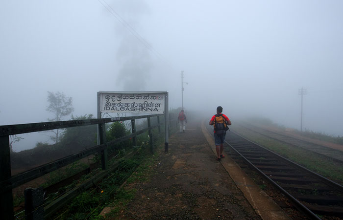 Pekoe Trail Trekking Tour with stage 12 and Bambarakanda Waterfall