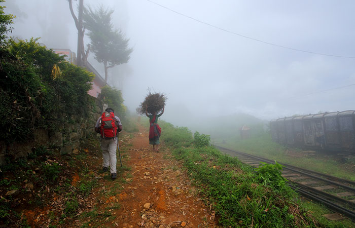 Pekoe Trail Trekking Tour with stage 12 and Bambarakanda Waterfall