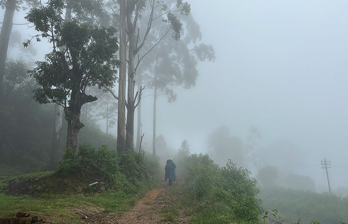 Pekoe Trail Trekking Tour with stage 12 and Bambarakanda Waterfall