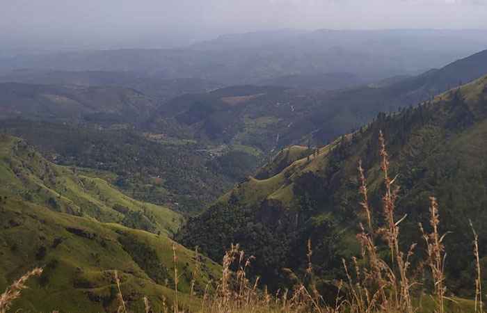 Pekoe Trail Trekking Tour with stage 12 and Bambarakanda Waterfall