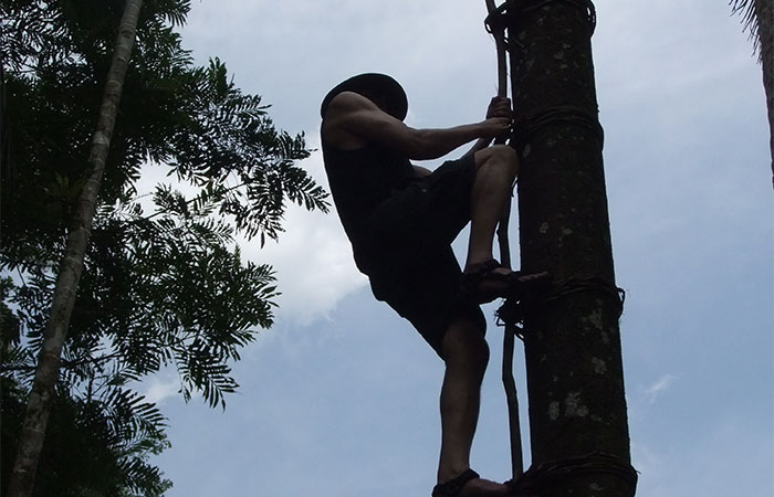Trek through the country side and Trekking Trips in Sri Lanka - Scenic trekking tours in Sri Lanka - Trek through the Country Side and trekking tours - Trekking Trips in Sri Lanka - Sri Lanka trekking Trips - Trekking trips in Bentota - Bentota Trekking Trips - Village Walk in Sri Lanka