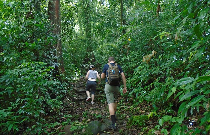 Trek through the country side and Trekking Trips in Sri Lanka - Scenic trekking tours in Sri Lanka - Trek through the Country Side and trekking tours - Trekking Trips in Sri Lanka - Sri Lanka trekking Trips - Trekking trips in Bentota - Bentota Trekking Trips - Village Walk in Sri Lanka