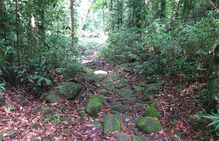 Trek through the country side and Trekking Trips in Sri Lanka - Scenic trekking tours in Sri Lanka - Trek through the Country Side and trekking tours - Trekking Trips in Sri Lanka - Sri Lanka trekking Trips - Trekking trips in Bentota - Bentota Trekking Trips - Village Walk in Sri Lanka