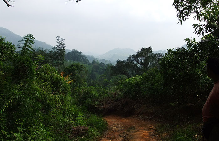 Trek through the country side and Trekking Trips in Sri Lanka - Scenic trekking tours in Sri Lanka - Trek through the Country Side and trekking tours - Trekking Trips in Sri Lanka - Sri Lanka trekking Trips - Trekking trips in Bentota - Bentota Trekking Trips - Village Walk in Sri Lanka