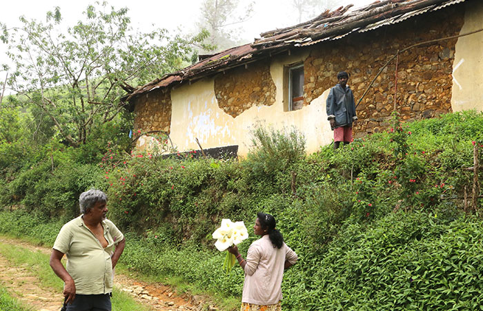 Trekking Tour from Nuwara Eliya to Ella