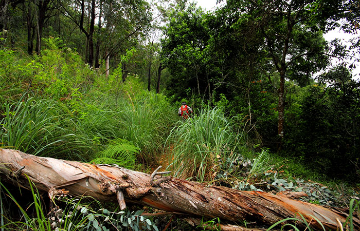 Trekking Tour from Nuwara Eliya to Ella