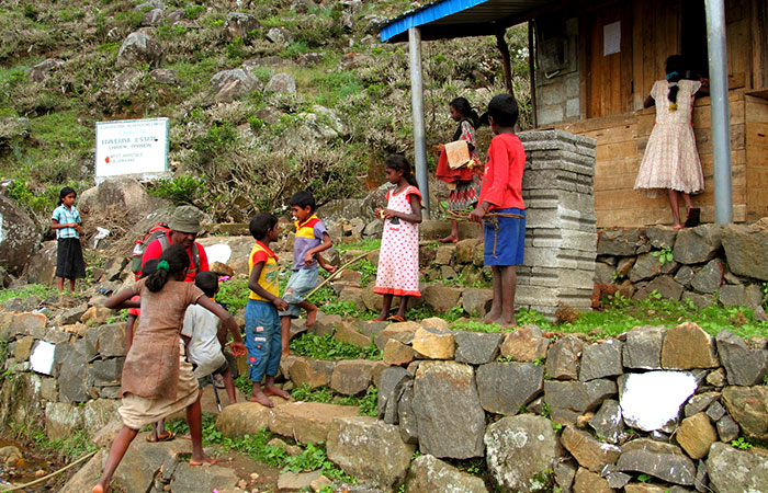 Trekking Tour from Nuwara Eliya to Ella