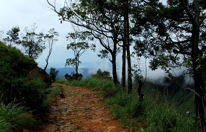 Trekking Tour from Nuwara Eliya to Ella