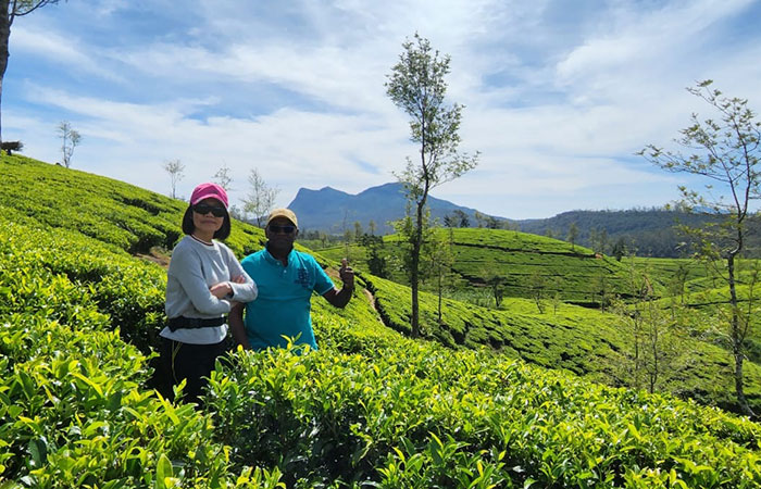 Trekking Tour from Nuwara Eliya to Ella