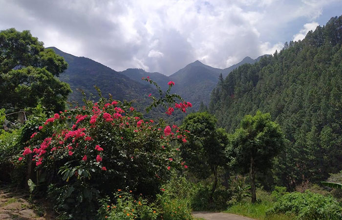 Trekking Tour from Nuwara Eliya to Ella