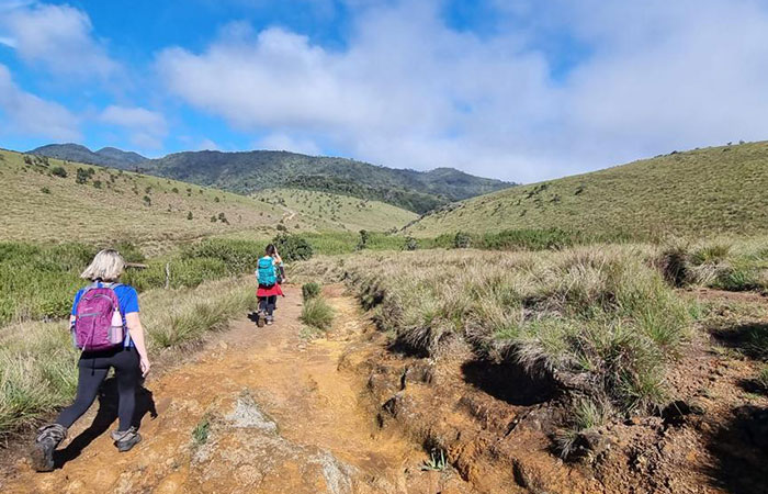 Trekking Tour from Nuwara Eliya to Ella