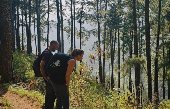 Trekking Tour from Nuwara Eliya to Ella
