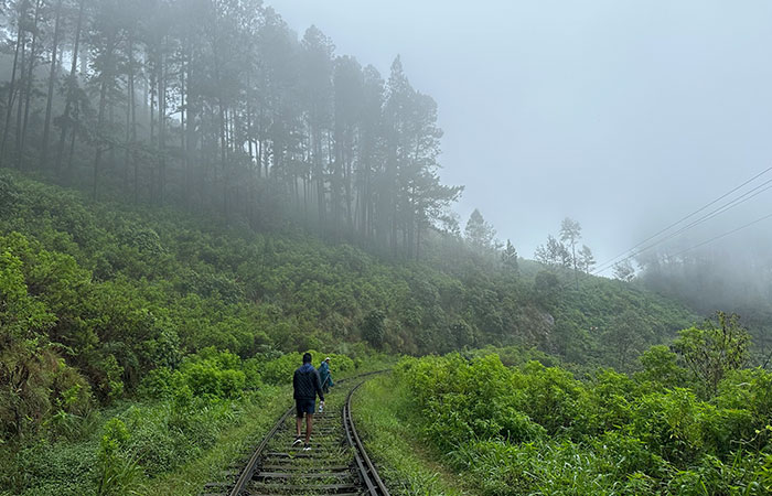 Trekking Tour from Nuwara Eliya to Ella