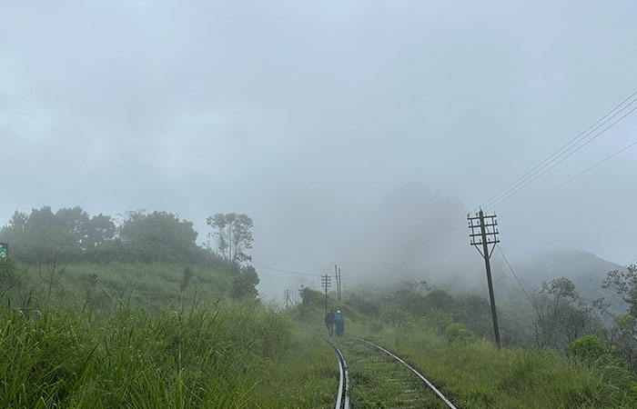 Trekking Tour from Nuwara Eliya to Ella