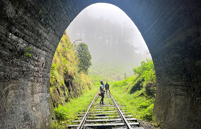 Trekking Tour from Nuwara Eliya to Ella