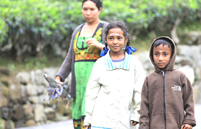 Trekking Tour from Nuwara Eliya to Ella