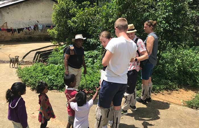 Trekking Tour from Nuwara Eliya to Ella