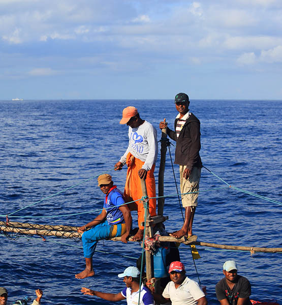 Whale & Dolphin Watching Tours in Mirissa