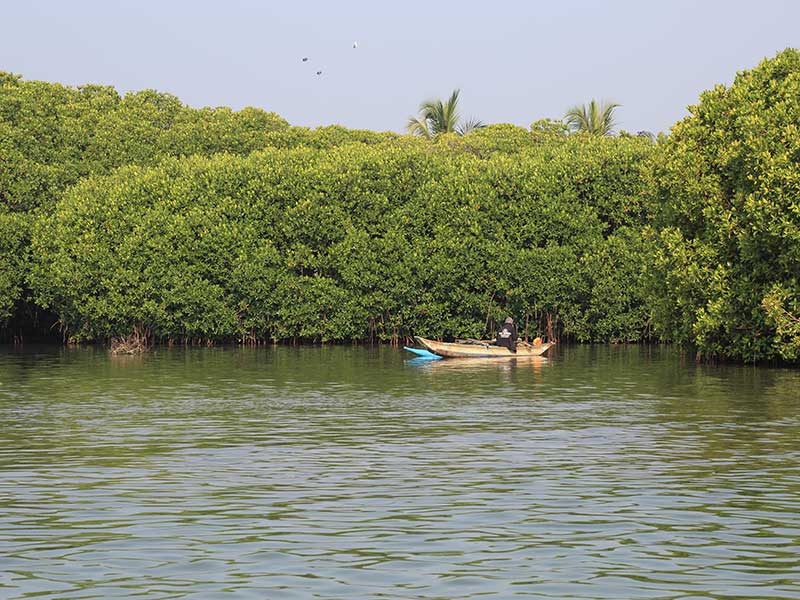 Most popular bird watching tour of Sri Lanka