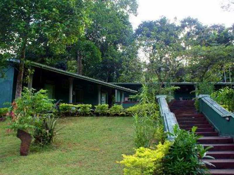 Most popular bird watching tour of Sri Lanka