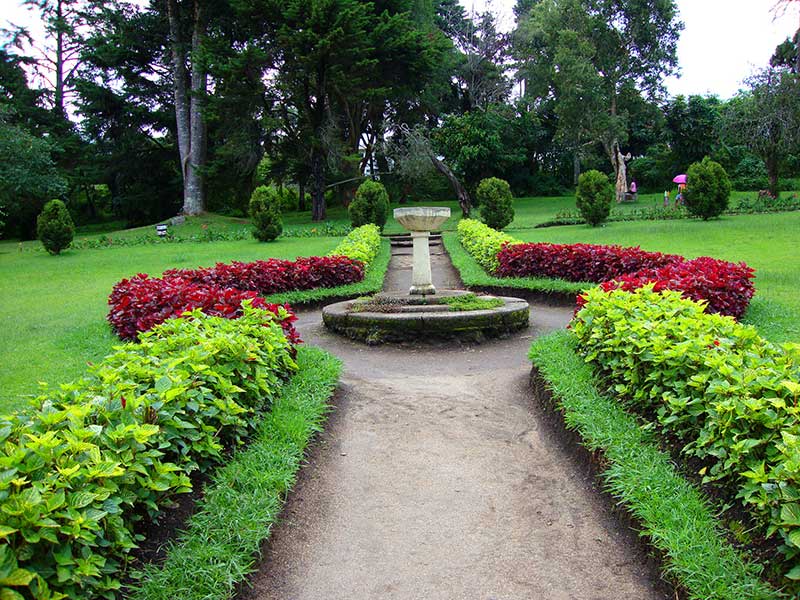 Most popular bird watching tour of Sri Lanka