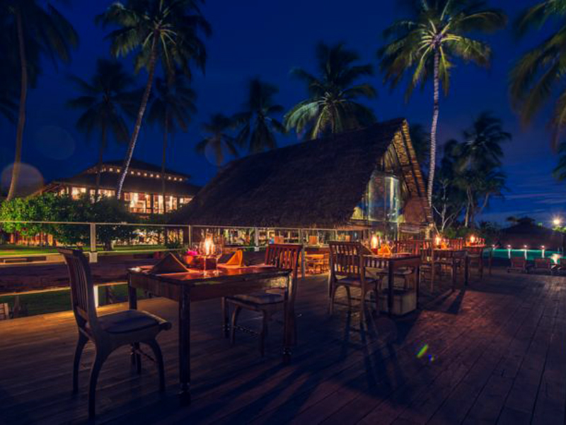 Ultimate Birding Tour of Sri Lanka