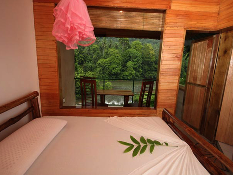 Ultimate Birding Tour of Sri Lanka