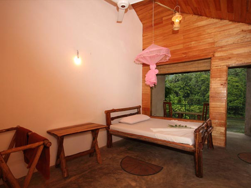 Ultimate Birding Tour of Sri Lanka