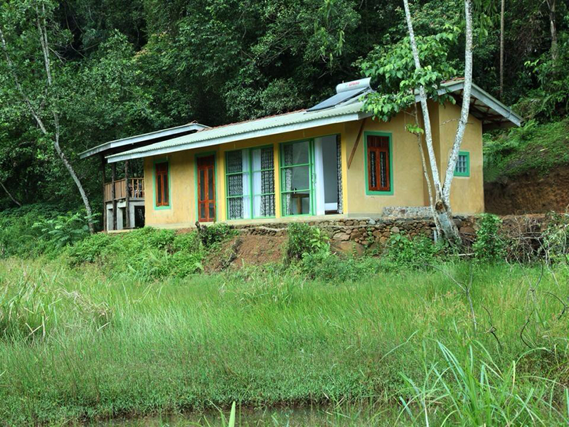 Ultimate Birding Tour of Sri Lanka