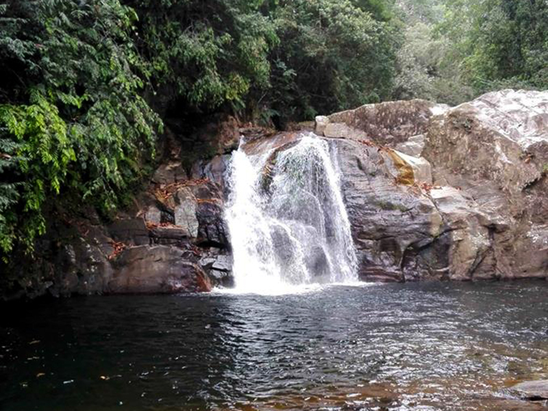 Ultimate Birding Tour of Sri Lanka