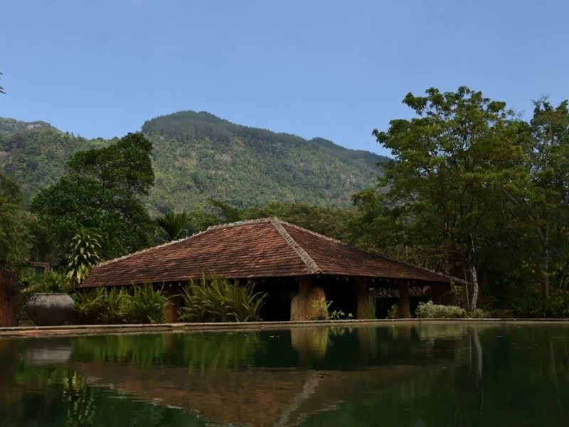 Ultimate Birding Tour of Sri Lanka